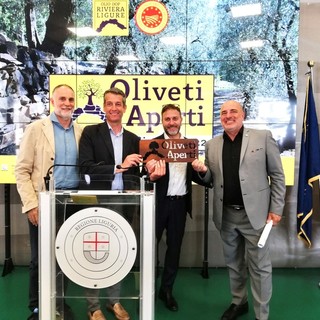 Oliveti Aperti, la Liguria celebra l’olivicoltura eroica da Ponente a Levante (Video)