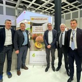Frutticoltura piemontese, nuove opportunità per i produttori: Orbita presenta il kiwi giallo Haegeum e le nuove pesche resistenti alla sharka Frutticoltura piemontese, nuove opportunità per i produttori: Orbita presenta il kiwi giallo Haegeum e le nuove pesche resistenti alla sharka
