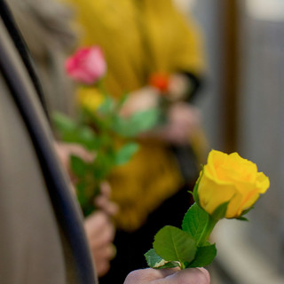 Onoranze funebri a Torino, l’approccio unico di Taffo