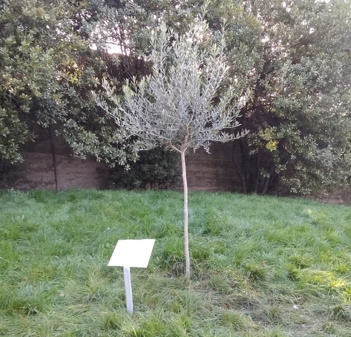 A Genova, in Bassa Val Bisagno, la prima intitolazione a Gino Strada