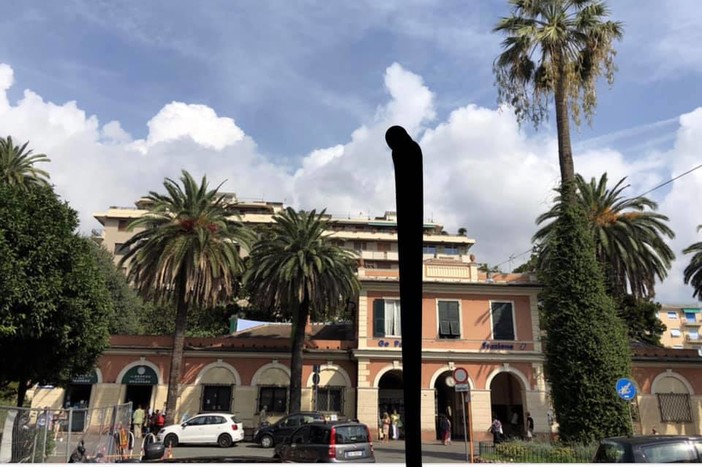 Pegli, nuova sfida del Comune contro il punteruolo rosso