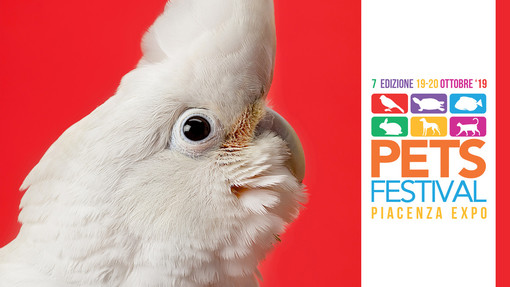 Eventi: l'area ornitologica di Petsfestival 2019