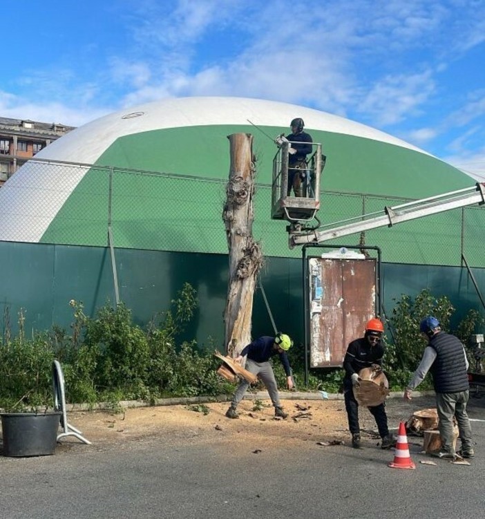 Recco, piano verde: via agli abbattimenti in via dei Fischi e potature in piazza San Giovanni Bono