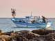 Pesca record nel Mar Ligure, catturati oltre 200 quintali di ricciole