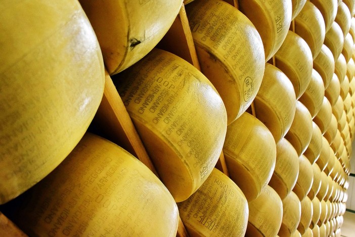 La Russia blocca i prodotti alimentari made in Italy per tutto il 2023 La Russia blocca i prodotti alimentari made in Italy per tutto il 2023