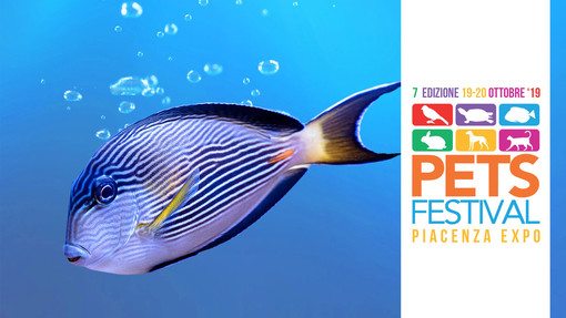 A Petsfestival c’è la più grande fiera di acquari d’Italia