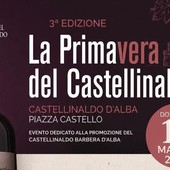 La Primavera del Castellinaldo Barbera d’Alba La Primavera del Castellinaldo Barbera d’Alba