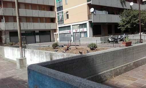 La cosiddetta 'piastra' del Cep