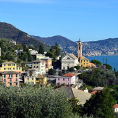 I più ricchi vivono fra Pieve Ligure, Bogliasco e Camogli. Portofino caso eccezionale: il reddito medio sfiora 66 mila euro