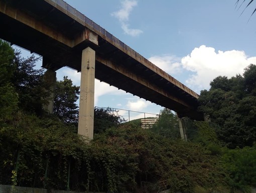 Ca’ Nuova, Fabio Ariotti chiede ragguagli sui lavori ai ponti