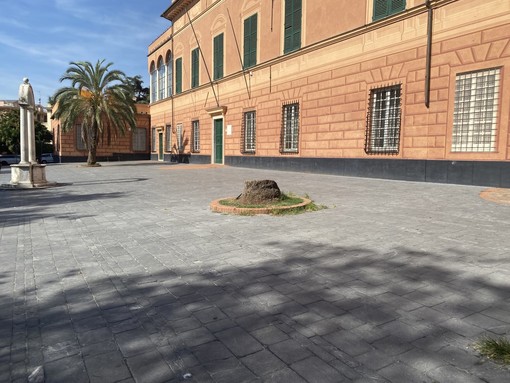 Pegli, l’ennesimo albero tagliato in piazza Bonavino scatena le proteste