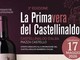 La Primavera del Castellinaldo Barbera d’Alba La Primavera del Castellinaldo Barbera d’Alba