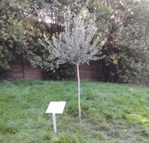 A Genova, in Bassa Val Bisagno, la prima intitolazione a Gino Strada