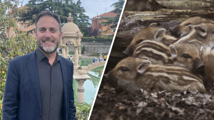 Lega, Piana si candida al Senato e dichiara guerra ai cinghiali Lega, Piana si candida al Senato e dichiara guerra ai cinghiali