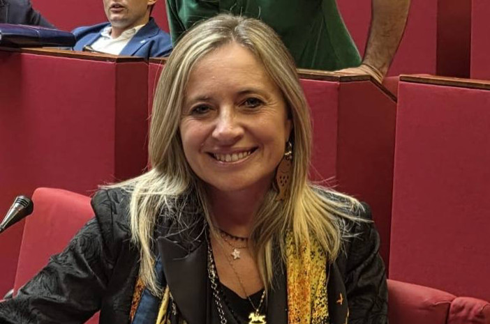 Commenti omofobi sotto un post, Bordilli replica in aula: “Mi dissocio, parole che mi fanno schifo”