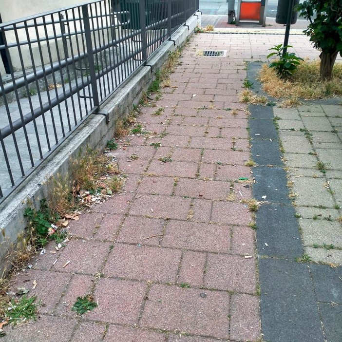 La piazzetta nel cuore di Sampierdarena, bella ma tenuta male e con troppa immondizia (FOTO) La piazzetta nel cuore di Sampierdarena, bella ma tenuta male e con troppa immondizia (FOTO)