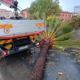 Maltempo, il vicepresidente della Regione Piana ad Albenga per un sopralluogo