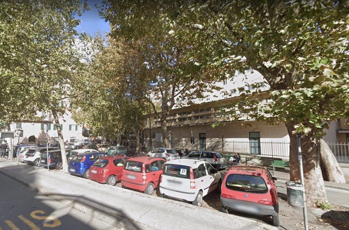 Dieci nuovi alberi per Piazza Pallavicini a Rivarolo: lo ha annunciato l’assessore Piciocchi