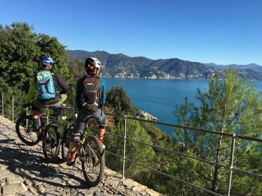 Regione: stabiliti i criteri per individuare i percorsi mountain bike