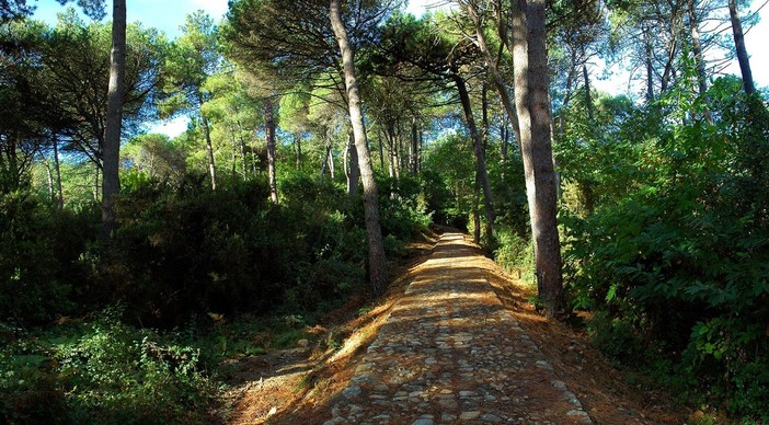 Parco Portofino, Garibaldi (PD): “La Giunta da un lato dice di voler rispettare la volontà dei territori, dall’altro però non si fa il minimo scrupolo di lasciare fuori i comuni che hanno chiesto di entrare nel nuovo perimetro"