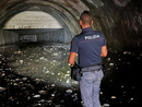 Le ricerche nel Bisagno