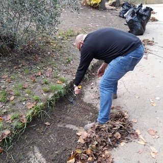 Pegli, Villa Rosa torna al suo antico decoro grazie ad un esercito di volontari (FOTO) Pegli, Villa Rosa torna al suo antico decoro grazie ad un esercito di volontari (FOTO)