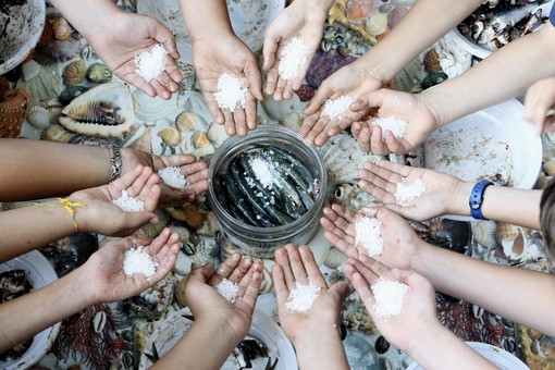 L'8 giugno all'Acquario di Genova si festeggia la Giornata Mondiale dell'Oceano