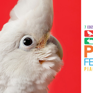 Eventi: l'area ornitologica di Petsfestival 2019