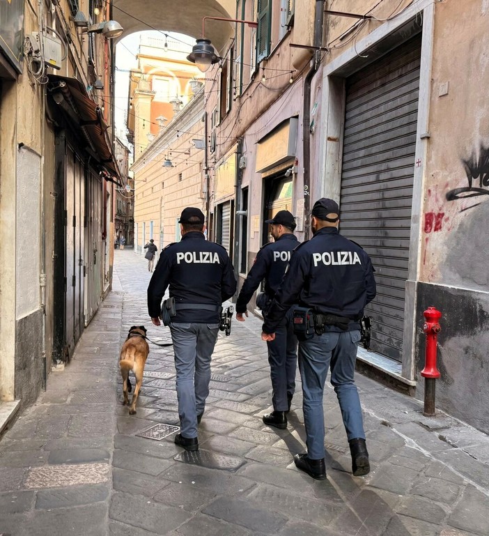 Controlli nel Centro Storico: chiuso un minimarket in via Prè, arrestato un 38enne per aggressione