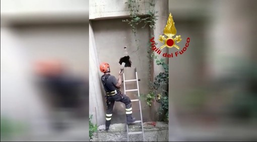 Nervi: si blocca l'ascensore, i pompieri sfondano il muro (VIDEO)