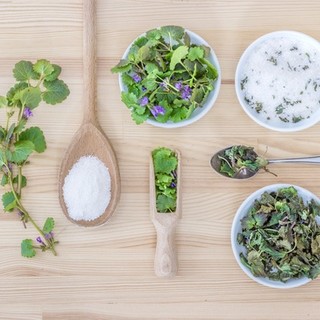 Fine settimana alla scoperta del "preboggion" con Explora Genova