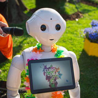 Il Laboratorio: nei vicoli la cooperativa sociale dall'anima hi-tech