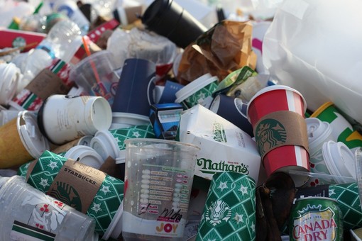 Eventi pubblici a Genova 'plastic-free': arrivano i divieti e il piano per le stoviglie riutilizzabili Eventi pubblici a Genova 'plastic-free': arrivano i divieti e il piano per le stoviglie riutilizzabili
