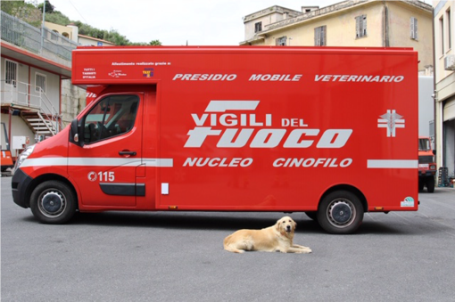 Vigili del Fuoco: donato nuovo presidio veterinario mobile