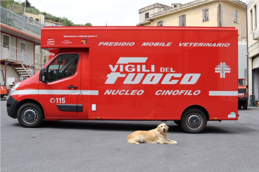 Vigili del Fuoco: donato nuovo presidio veterinario mobile Vigili del Fuoco: donato nuovo presidio veterinario mobile