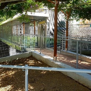 Pegli: inaugurata la nuova passerella pedonale con ascensori