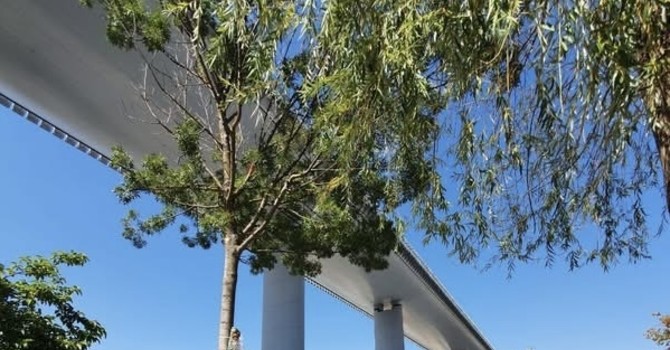 La Radura della Memoria sarà pronta per il 14 agosto nella sua versione definitiva La Radura della Memoria sarà pronta per il 14 agosto nella sua versione definitiva