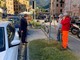 Rapallo: iniziate le operazioni di decoro urbano tramite la manutenzione del verde pubblico