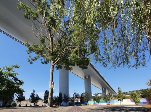 La Radura della Memoria sarà pronta per il 14 agosto nella sua versione definitiva La Radura della Memoria sarà pronta per il 14 agosto nella sua versione definitiva