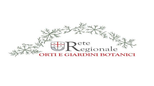 Biodiversità, un unico logo per 13 orti e giardini botanici: così la Liguria fa rete Biodiversità, un unico logo per 13 orti e giardini botanici: così la Liguria fa rete