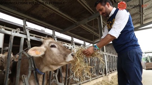 Agricoltura: "Votare Lega e scrivere Racca vuol dire portare le istanze delle nostre aziende agricole a Bruxelles" (VIDEO)