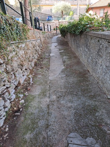 Recco, terminata la pulizia delle strade pedonali, oltre 13 km interessati Recco, terminata la pulizia delle strade pedonali, oltre 13 km interessati