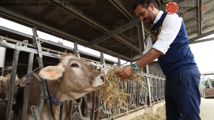 Agricoltura: "Votare Lega e scrivere Racca vuol dire portare le istanze delle nostre aziende agricole a Bruxelles" (VIDEO)