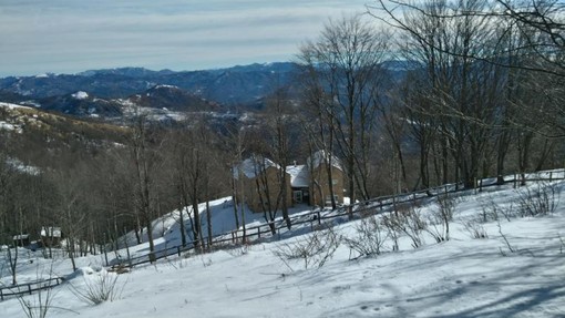 Legambiente: “Sui parchi regionali il consiglio dei ministri impugna il 'pasticcio' della Regione Legambiente: “Sui parchi regionali il consiglio dei ministri impugna il 'pasticcio' della Regione