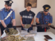Val Fontanabuona, serra di marijuana nel casolare e mitra in casa: 63enne arrestato dai Carabinieri Val Fontanabuona, serra di marijuana nel casolare e mitra in casa: 63enne arrestato dai Carabinieri