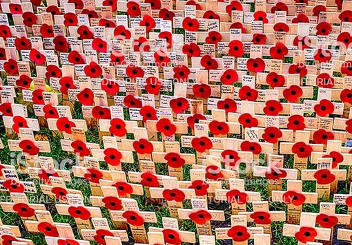 "Songs of Poppies": racconti di guerra in musica e poesia allo Spazio Lomellini 17