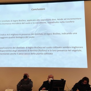 Nel mese di febbraio, presso l’Accademia dei Fisiocritici in Siena, il venerdì 25 si terrà il secondo workshop BioDea 2022