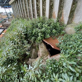 Sversamento di liquami in via del Fossato a Sampierdarena, vegetazione a rischio e cattivi odori