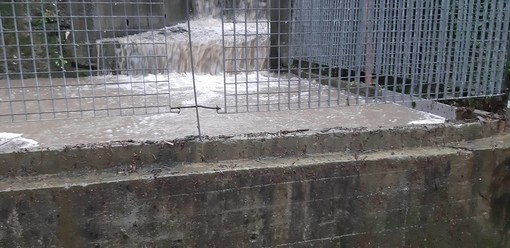 Campasso: straripa di nuovo il rio, Lucia (Pd) e Passeri (Leu): "Soli senza supporto" (VIDEO)