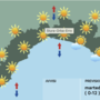 Meteo, temperature in aumento con picchi localmente superiori ai 38 gradi fra mercoledì e giovedì